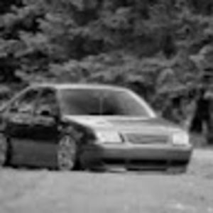 Meet your Posher, Eli